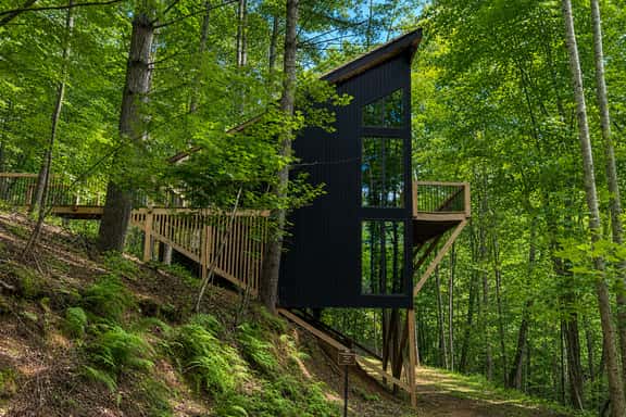 Treeangle Treehouse - Image 1