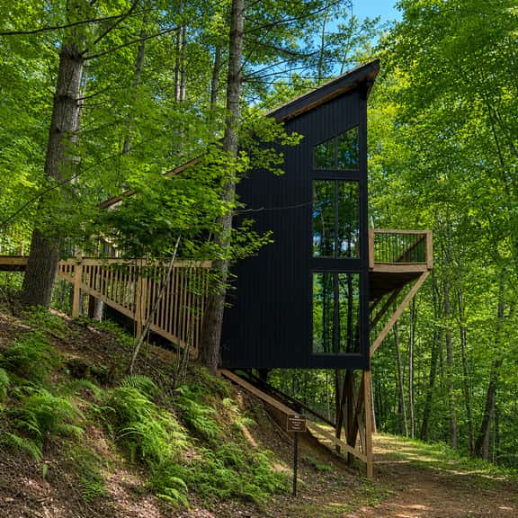 Treeangle Treehouse - Image 1